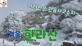 깨비의 등산vlog-8  ㅣ 한라산 ㅣ 관음사코스 ㅣ