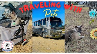 Traveling With Pets: Living The Full-time Rv Life With Pets In Our Prevost!