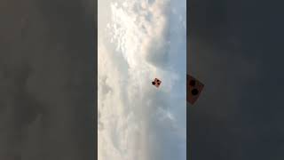 BIG KITE FLYING 2024 🔥 PATANG BAZI VIDEO 😍 JAMMU KITE FLYING 2024