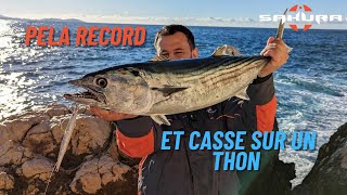 SHORE JIGGING MARSEILLE - Mon record pélamide + Casse de thon