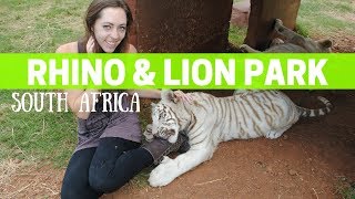 South Africa Vlog #2