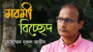 মরমী বিচ্ছেদ গান । মোহাম্মদ নুরুল আমীন