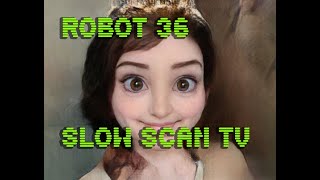 0058 Toonify SSTV Robot36