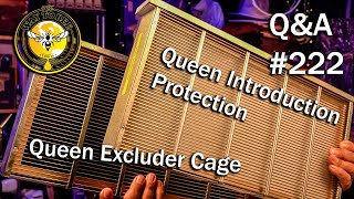 Backyard Beekeeping Questions and Answers Episode 222, Queen Excluder? or Queen Introduction cages.