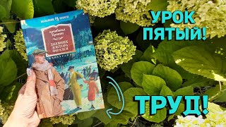 🔥КНИЖНАЯ ШКОЛА!🔥 урок пятый ~ ТРУД! читаю доктора Финлея🩺💉