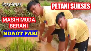 PETANI SUKSES DARI MUDA SUDAH BERKARYA