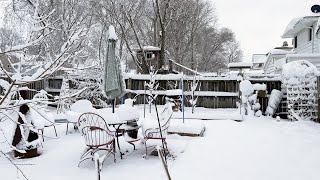 Flowers, Snow and Books: April in My Garden