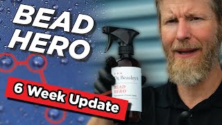 Dr.  Beasleys Bead Hero 6 Week Check In