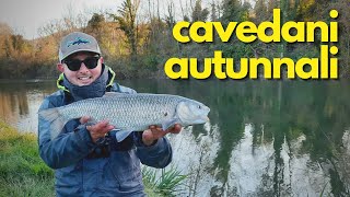 CAVEDANI AUTUNNALI SUL FIUME TEVERE! - UMBERTIDE - pesCarlo 4K