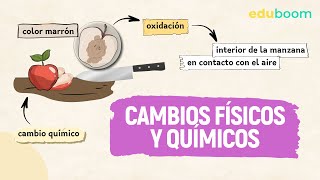 Cambios físicos y químicos │ Física y Química, 2° ESO