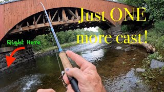 FLOODED river pushed Smallmouth up into this CREEK!