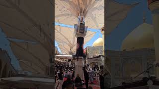 WALI UL AH ALI a.s. | AASAD UL AH ALI #2024 #arbaeen2024  #viralvideo  @SyedNadeemSarwar