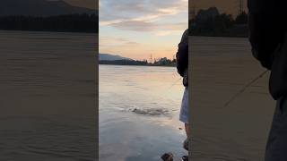 Shad fishing on the Columbia River