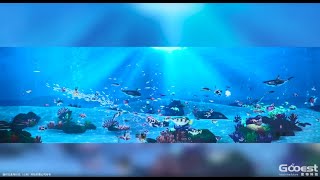 Immersive Experience Digital Wall Projection Works -- Realism Ocean By Gooest