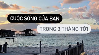 Cuộc sống của bạn trong 3 tháng tới