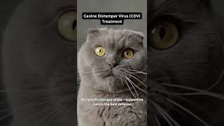 Canine Distemper Virus (CDV) Treatment