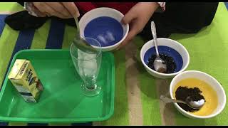 Kindergarten: Cooking Class (Grass Jelly Choco Milk)