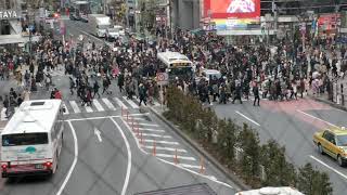 Tokyo - Shibuya / Bir Türk'ün gözünden Japonya