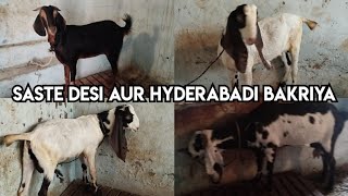 Saste Bakriya | Hyderabadi Bakriya| Desi Bakriya| Bandlaguda| Hyderabad