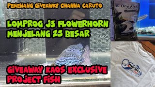 Louhan Kamfa F2 Mongkol Super Genetic | Lomba Progess Burayak Louhan @j3flowerhorn994