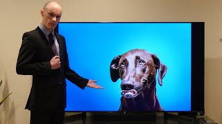 ASMR | Reviewing Stock Photos of Dogs