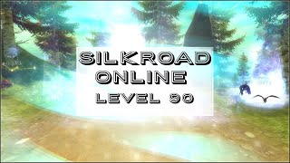 Silkroad Online - Wizard Level - 90