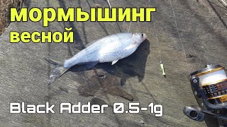 МОРМЫШИНГ ВЕСНОЙ! С BlackAdder 0.5-1g #мормышинг