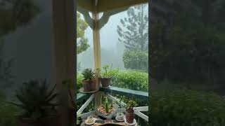 🌿How good dose rain sound