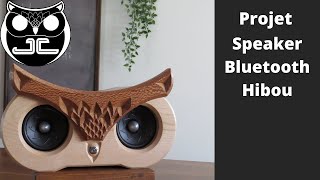 DIY bluetooth speaker OWL --- CNC -----  Haut-Parleur Bluetooth Hibou