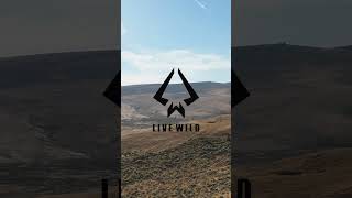 LIVE WILD - ELKHORN SKINNER