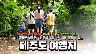 제주도에 이렇게 이국적인 곳이 있었다고? 멋진 야자수산책로와 아름다운 수국길, 그리고 시원한 미천굴이 있는 제주도 일출랜드 소개해 드릴게요.