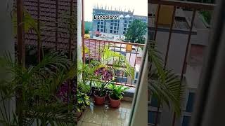 #shortvideo #rainyweather #assamesevlogs #bangalore #hindisong