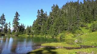 Ore Mountain Trail Pond View - ihikebc.com