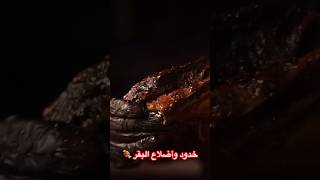 خدود وأضلاع البقر 🍖من ريبس اند شيكس