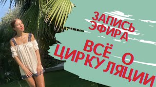 Все о циркуляции. Презентация модуля "Циркуляция"