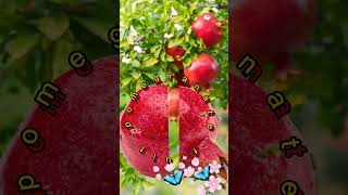 fruit split #pomegranate #fruit #funplay #shorts #youtubeshorts