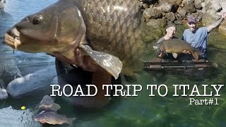 Road trip ‘22 to Italy - Carp fishing on the river Rhone and Vulcan lake Nemi