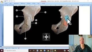 Musculo-skeletal Module ,Anatomy of Lower Limb in Arabic 2 ( Hip bone, part 2  ) , 2022