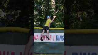 Filmed the Outfield Wall Just in Case🤯 #dingersornothing #wiffleball #baseball #shorts