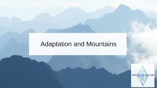 Adaptation and Mountains