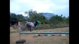 Horse FAIL