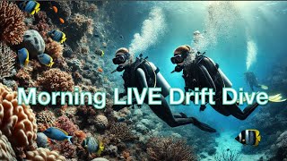 Morning LIVE Drift Dive