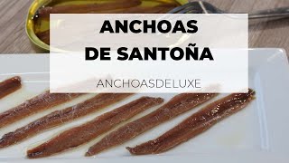 Las auténticas Anchoas del Cantábrico | AnchoasDeluxe