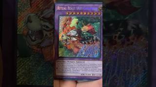 Secret Rare Pulled from Yu-Gi-Oh! Battles of Legend: Terminal Revenge! #yugioh #battlesoflegend