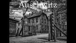 Auschwitz trip Intro