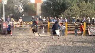 Bota Rota26-03-11