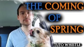 Jouer The Coming of spring jig - Tuto whistle