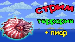 стрим terraria | стрим террария | бесплатный пиар и оценка каналов