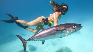 Surviving On Remote Sand Cay (Spearfishing Dogtooth Tuna Catch & Cook) Ep 3