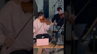 Birds of a Feather by Billie Eilish | LOVUR String Quartet